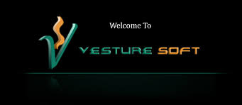 vesture是什么意思