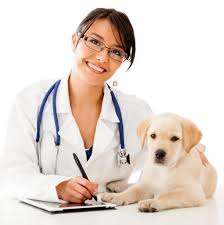 veterinarian是什么意思
