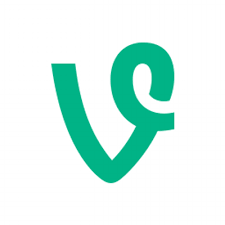 vine是什么意思