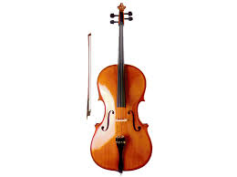 violoncello是什么意思