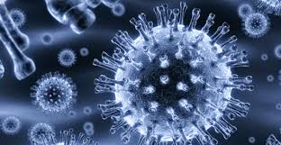 virology是什么意思