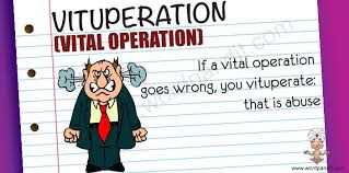 vituperation是什么意思