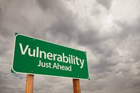 vulnerability是什么意思