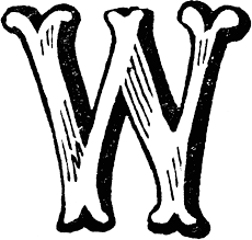 W是什么意思