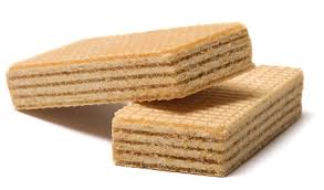 wafer是什么意思