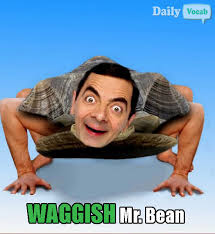 waggish是什么意思