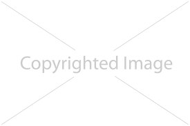 watermark是什么意思
