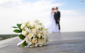 wedding是什么意思