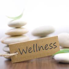 wellness是什么意思
