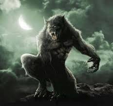 werewolf是什么意思