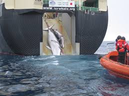 whaling是什么意思