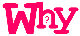 why是什么意思