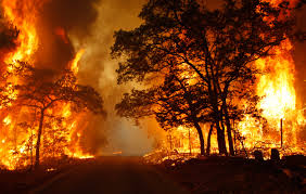 wildfire是什么意思