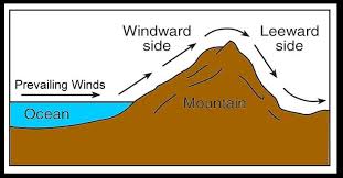 windward是什么意思