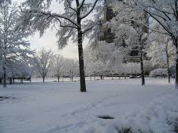 winter是什么意思