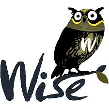 wise是什么意思