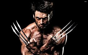 wolverine是什么意思