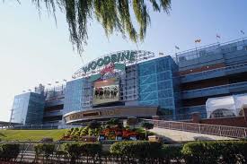 woodbine是什么意思