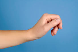wrist是什么意思