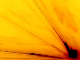 yellowy是什么意思