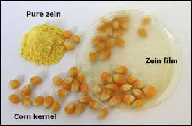 zein是什么意思