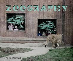 zoography是什么意思
