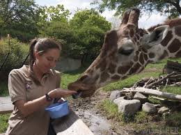 zoologist是什么意思
